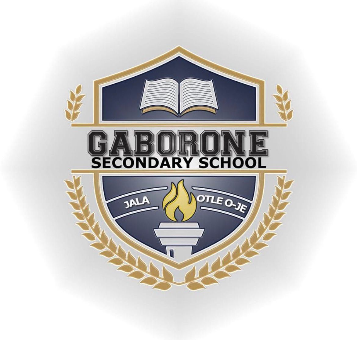 whatsapp image 2026 02 07 at 09.46.33 (1)